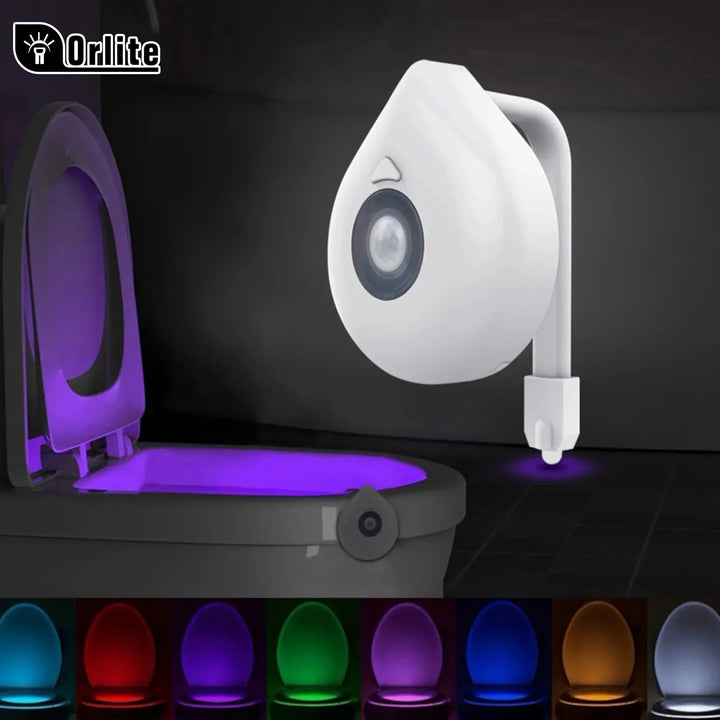 motion sensor toilet light
