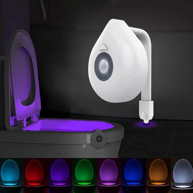 motion sensor toilet light